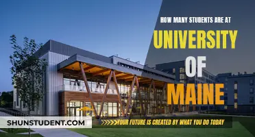 University of Maine: Student Population Insights