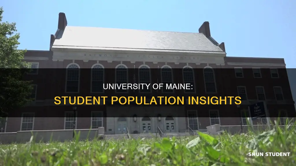 how many students are at university of maine