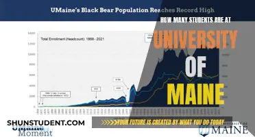 University of Maine: Student Population Insights