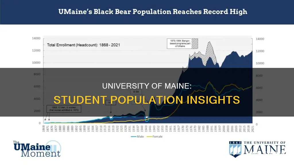 how many students are at university of maine