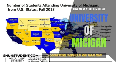 Michigan's University Student Population: A Comprehensive Overview
