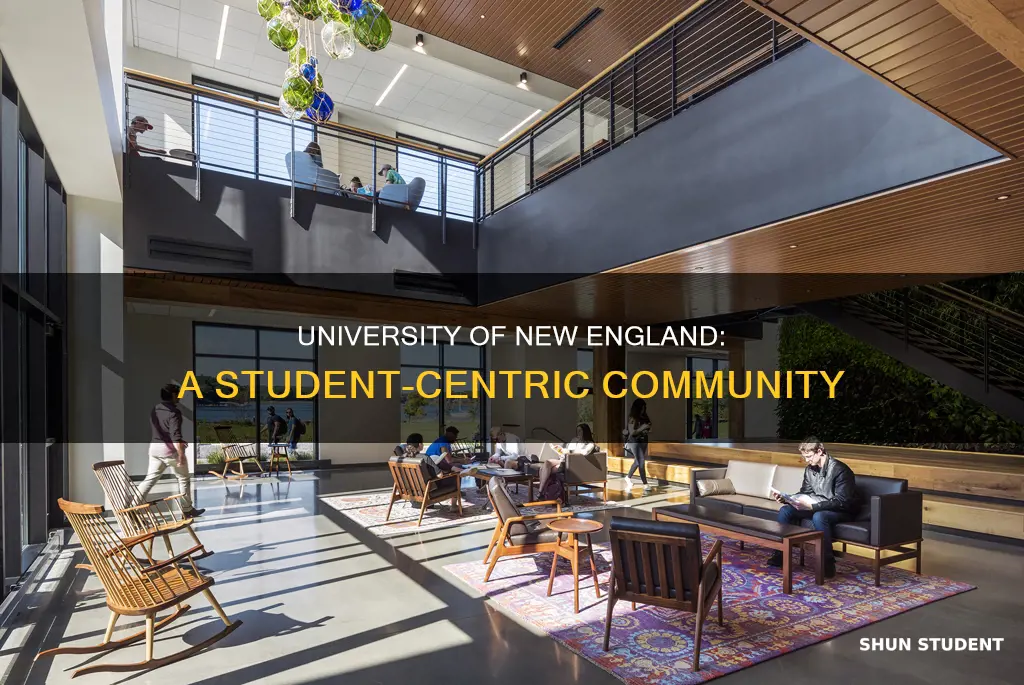 how many students are at university of new england