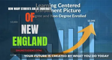 Exploring University of New England's Student Population