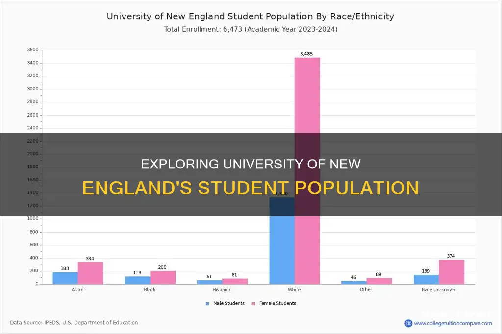 how many students are at university of new england