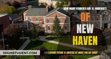 University of New Haven: Student Population Insights