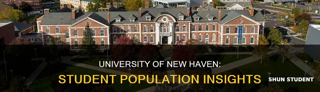 how many students are at university of new haven