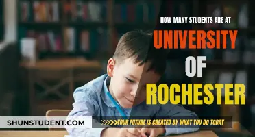 Rochester University: Student Population and Campus Life