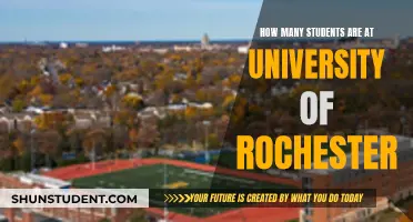 Rochester University: Student Population Insights