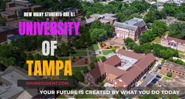 Tampa University's Student Population: A Comprehensive Overview