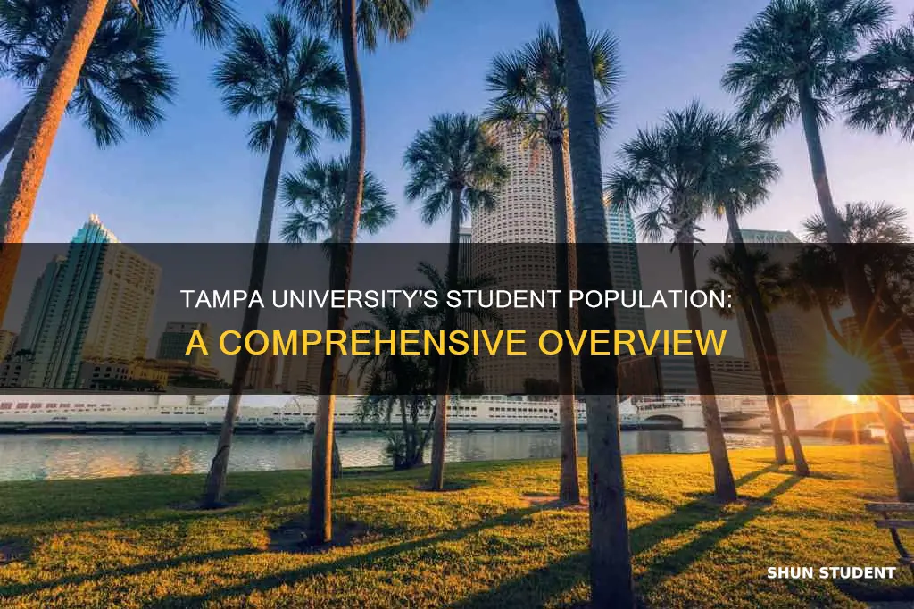 how many students are at university of tampa