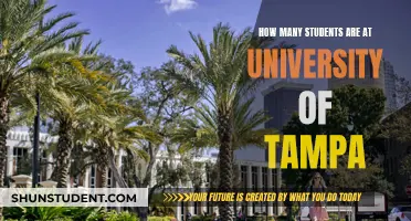 Tampa University: Student Population and Campus Life