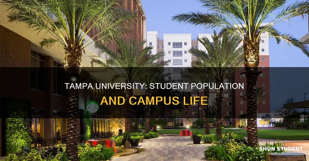 how many students are at university of tampa