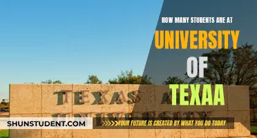 University of Texas: A Student Population Overview