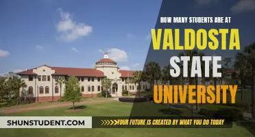 Exploring Valdosta State University's Student Population