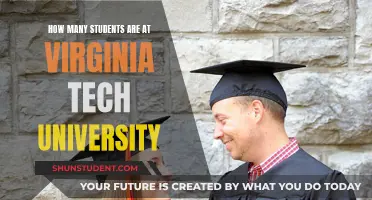 Virginia Tech University: A Student Population Overview