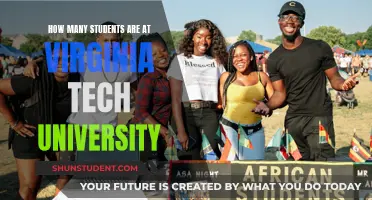 Virginia Tech University: Student Population Insights