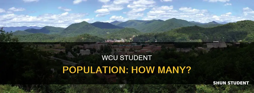 how many students are at western carolina university