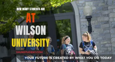 Wilson University: Student Population Insights