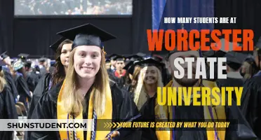 Worcester State University: A Student-Centric Campus