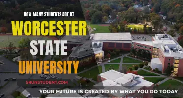 Worcester State University: Student Population Analysis