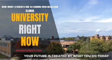 Northeastern Illinois University: Current Student Population Insights