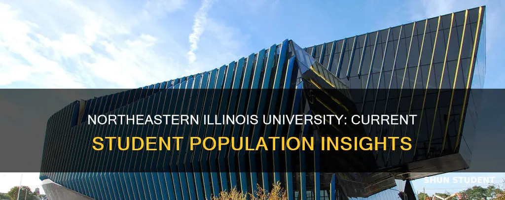 how many students are attending northeastern illinois university right now