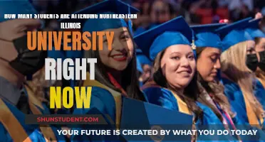 Northeastern Illinois University Student Population Today