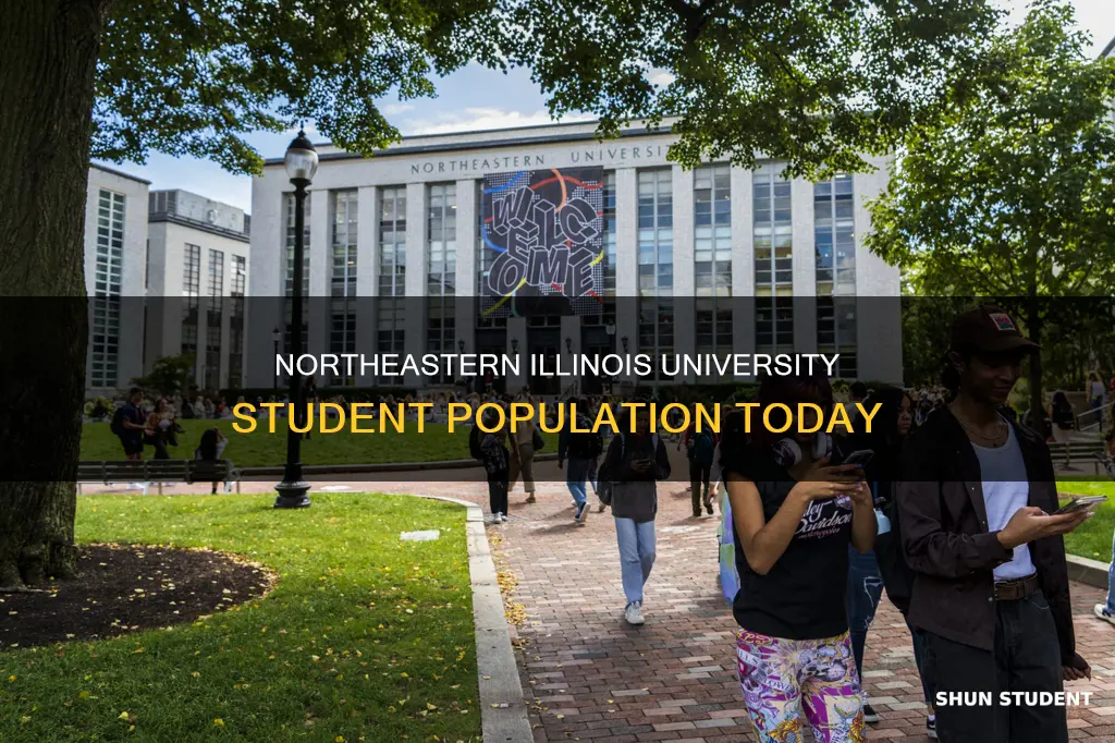 how many students are attending northeastern illinois university right now