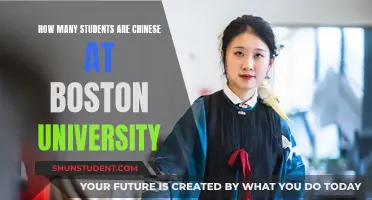 Boston University's Chinese Student Population Analyzed