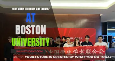 Chinese Students at Boston University: What's the Count?