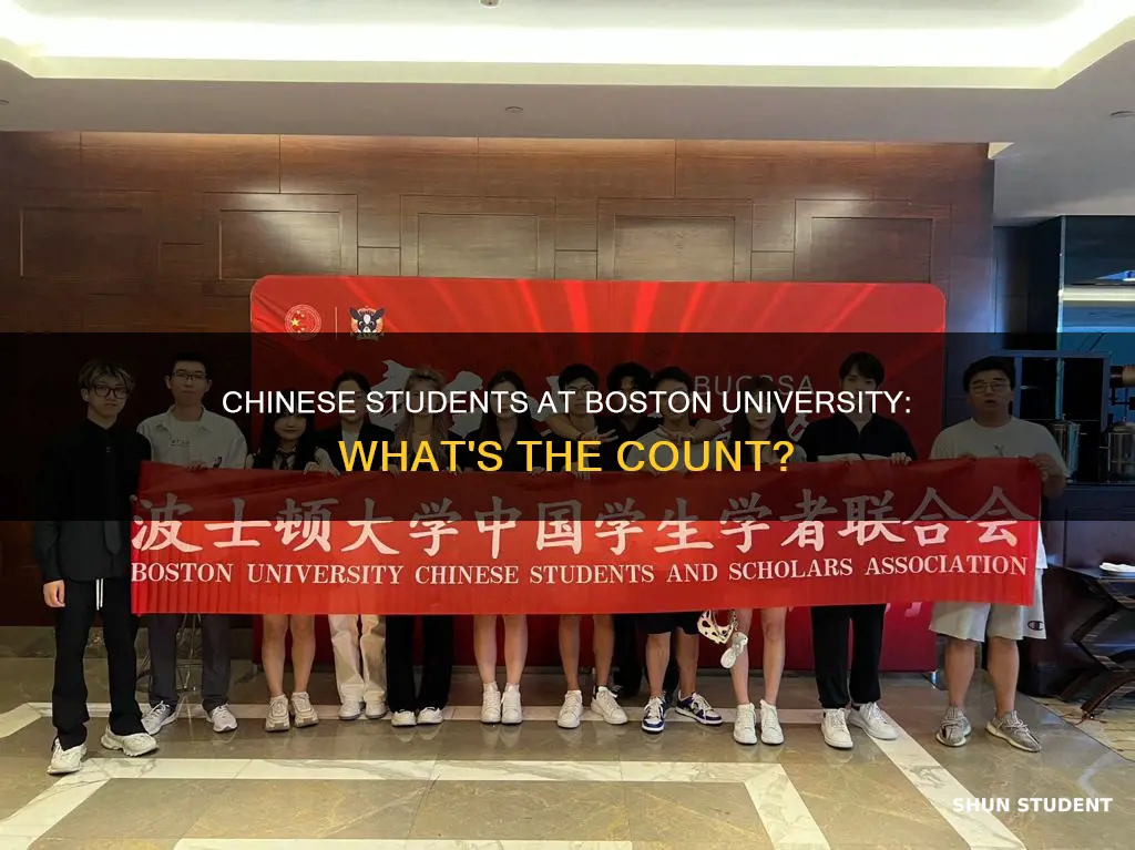 how many students are chinese at boston university