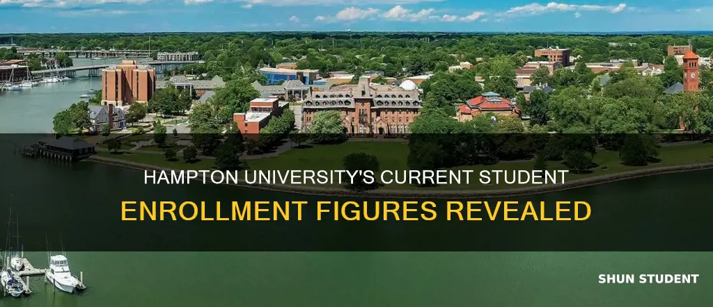 how many students are currently enrolled at hampton university