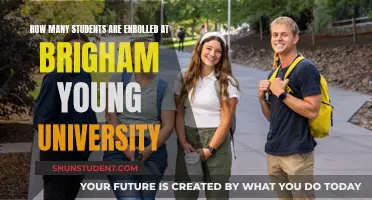 Enrolment Numbers at Brigham Young University Revealed