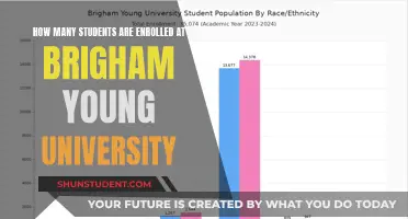 Discovering Brigham Young University's Student Population