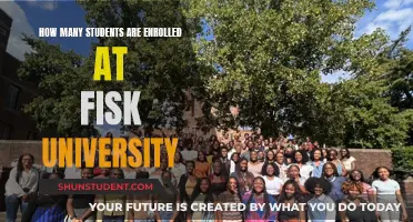 Enrolment Figures for Fisk University: An Overview