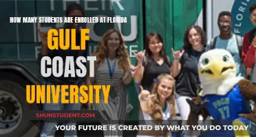 Enrolment Figures for Florida Gulf Coast University Explored