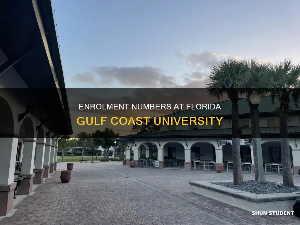 how many students are enrolled at florida gulf coast university