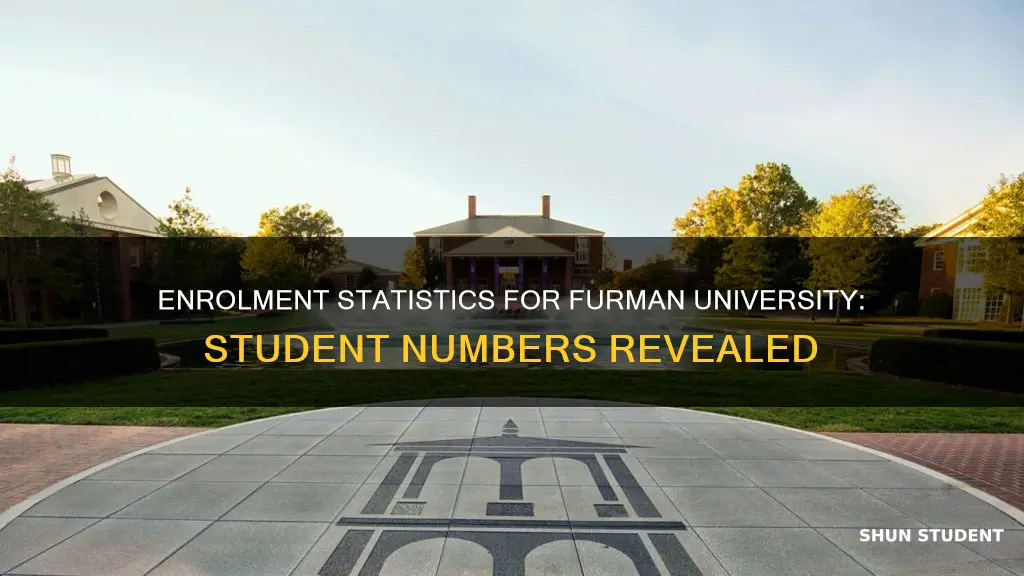 how many students are enrolled at furman university