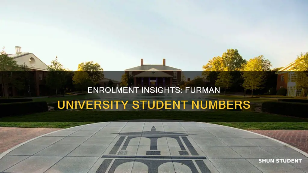 how many students are enrolled at furman university