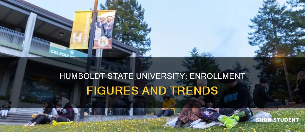 how many students are enrolled at humboldt state university