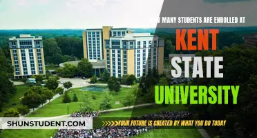 Enrolment Figures for Kent State University: A Comprehensive Overview