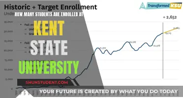 Enrollment Insights: Kent State University's Student Population