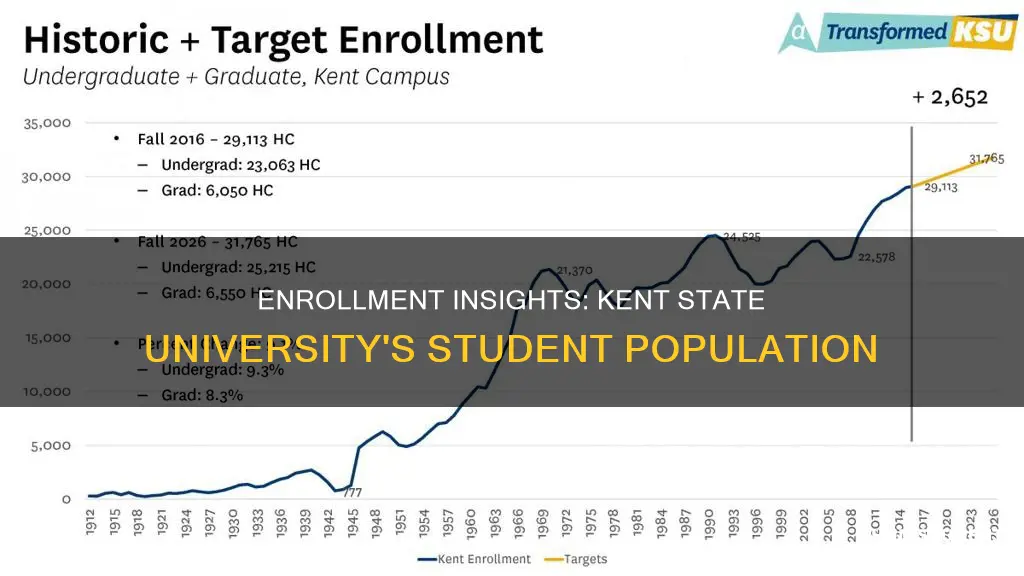 how many students are enrolled at kent state university