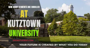 Enrolment Insights: Kutztown University's Student Population