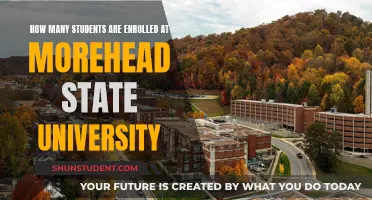 Enrollment Figures for Morehead State University Revealed