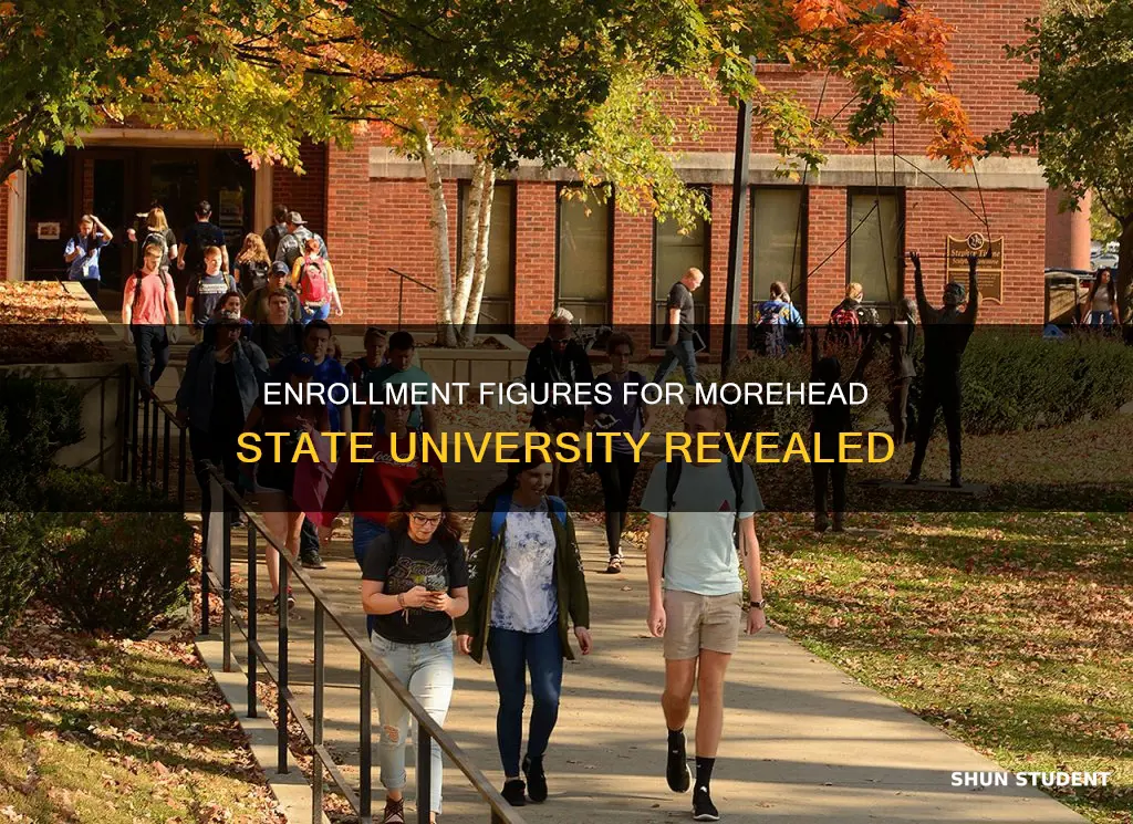 how many students are enrolled at morehead state university