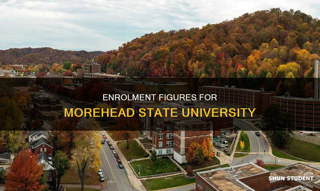 how many students are enrolled at morehead state university
