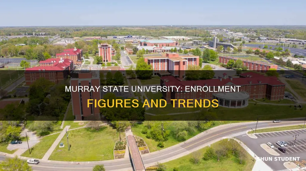 how many students are enrolled at murray state university