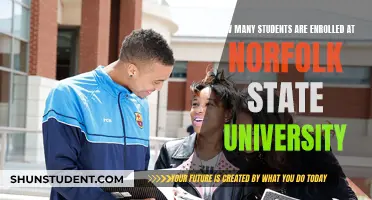 Enrolment Figures for Norfolk State University Revealed