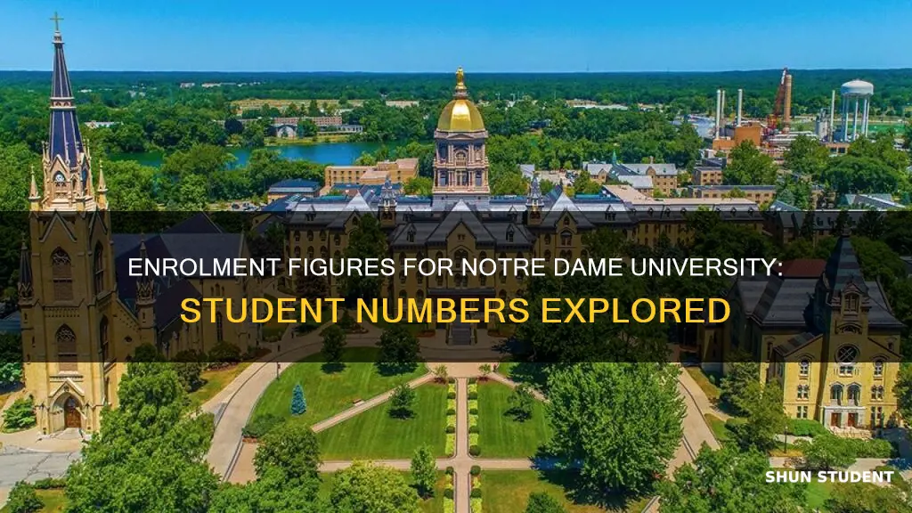 how many students are enrolled at notre dame university